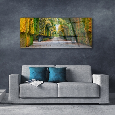 Quadro de vidro Parque Outono Jardim Natureza