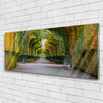 Quadro de vidro Parque Outono Jardim Natureza