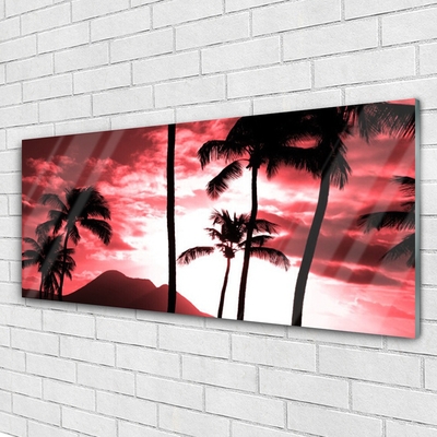 Quadro de vidro Palmeiras da Montanha Natureza