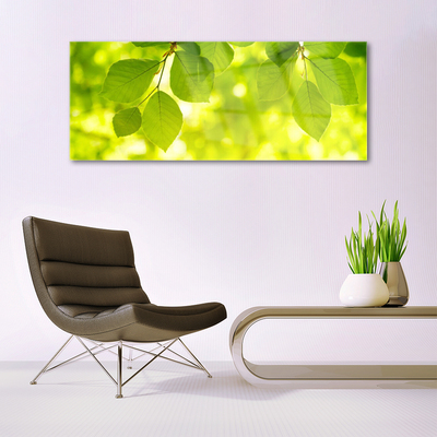 Quadro de vidro Folhas na Parede