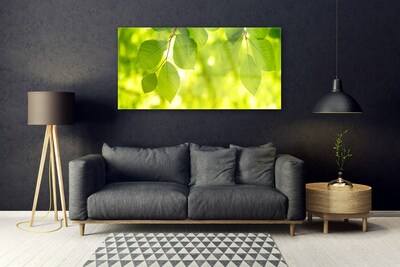 Quadro de vidro Folhas na Parede