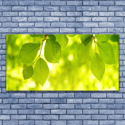 Quadro de vidro Folhas na Parede