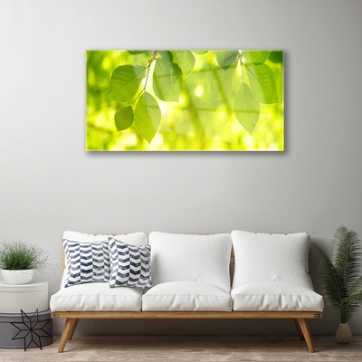 Quadro de vidro Folhas na Parede