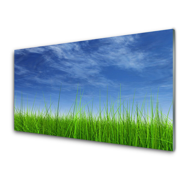 Quadro de vidro Planta Natural Sky Grass