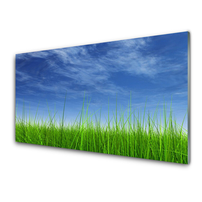 Quadro de vidro Planta Natural Sky Grass