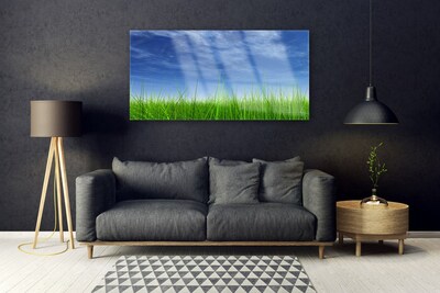Quadro de vidro Planta Natural Sky Grass
