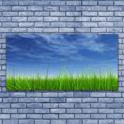 Quadro de vidro Planta Natural Sky Grass
