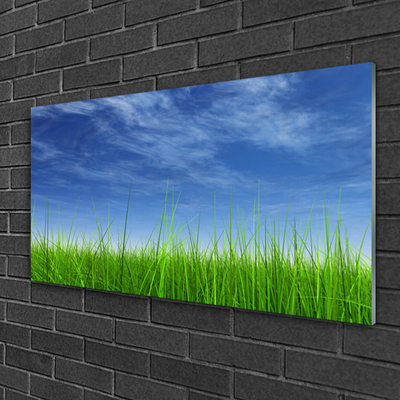 Quadro de vidro Planta Natural Sky Grass