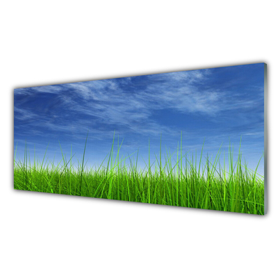 Quadro de vidro Planta Natural Sky Grass