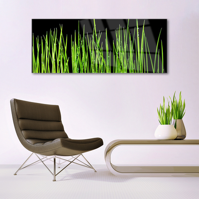 Quadro de vidro Planta de grama
