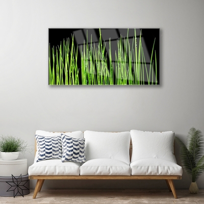 Quadro de vidro Planta de grama