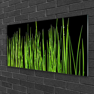 Quadro de vidro Planta de grama