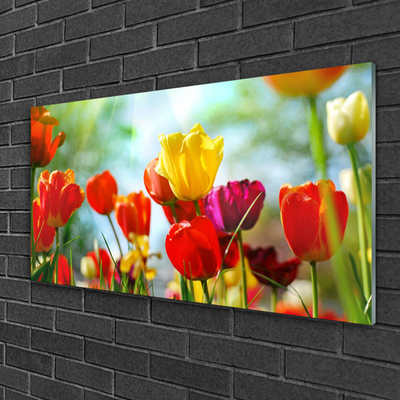 Quadro de vidro Flores na Parede