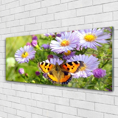 Quadro de vidro Flores Borboleta Planta Natureza