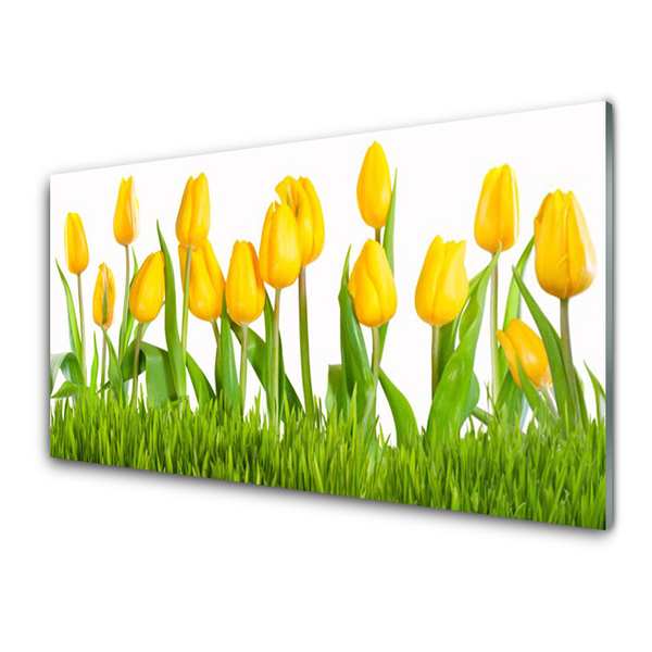 Quadro de vidro Tulipas na Parede