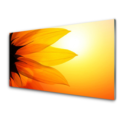 Pintura em vidro Flor Planta Natureza