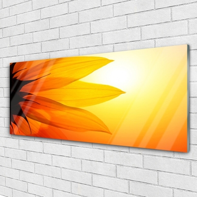 Pintura em vidro Flor Planta Natureza