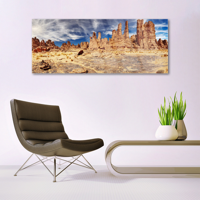 Quadro de vidro Paisagem desértica de areia