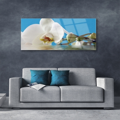 Pintura em vidro Flor Planta Natureza