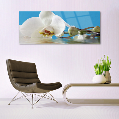 Pintura em vidro Flor Planta Natureza