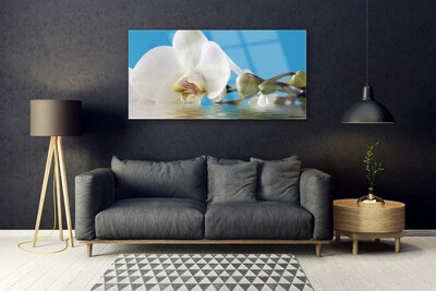 Pintura em vidro Flor Planta Natureza