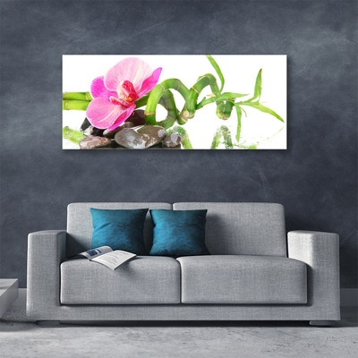 Pintura em vidro Flor Planta Natureza