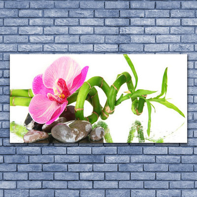 Pintura em vidro Flor Planta Natureza