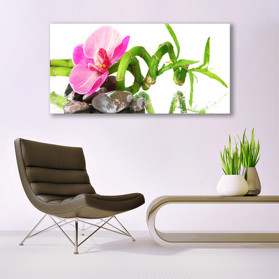 Pintura em vidro Flor Planta Natureza