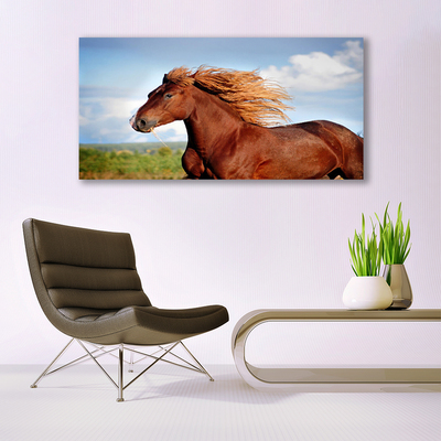 Quadro de vidro Animais Cavalos