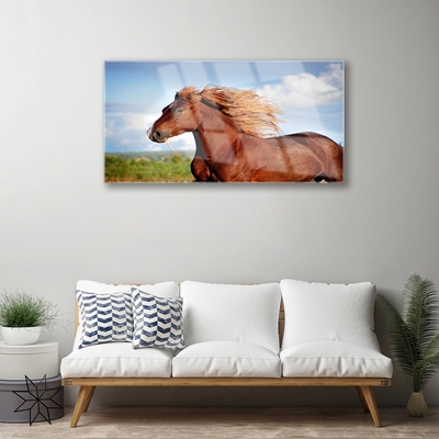 Quadro de vidro Animais Cavalos