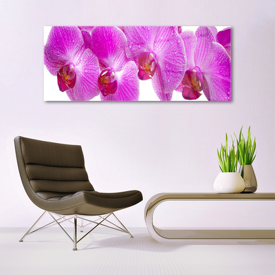 Pintura em vidro Flores Planta Natureza