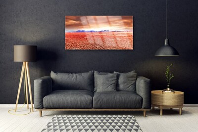 Quadro de vidro Paisagem desértica de areia
