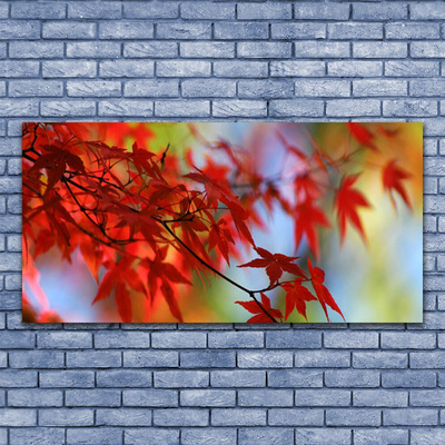 Quadro de vidro Folhas da Natureza