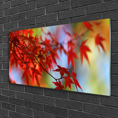 Quadro de vidro Folhas da Natureza