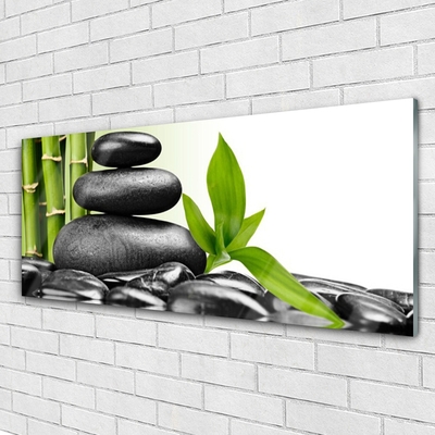 Quadro de vidro Arte com Folhas e Pedras