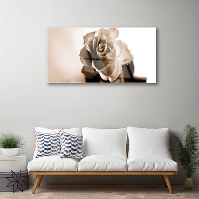 Quadro de vidro Planta de flor de rosa