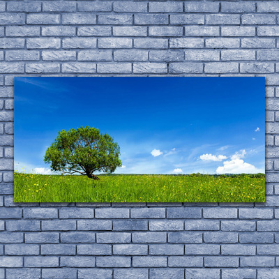 Quadro de vidro Grama Árvore Natureza