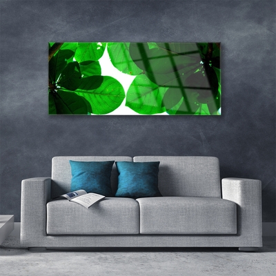 Quadro de vidro Folhas na Parede