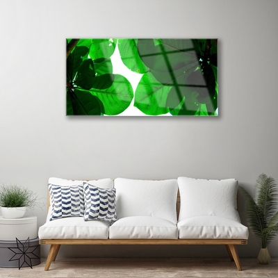 Quadro de vidro Folhas na Parede