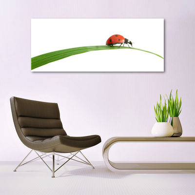 Quadro de vidro Joaninha Natureza