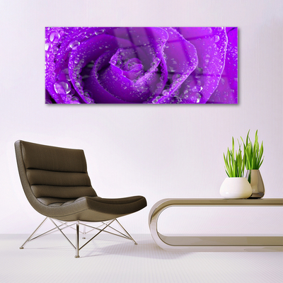 Quadro de vidro Planta de flor de rosa