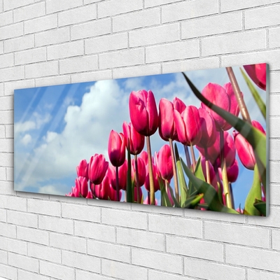 Pintura em vidro Tulipa na Parede