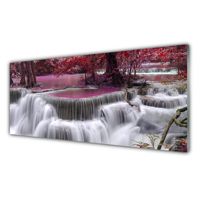 Quadro de vidro Cachoeira Árvore Natureza