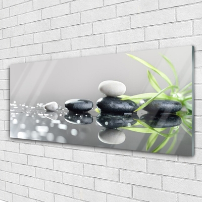 Pintura em vidro Spa de Grama Zen Stones