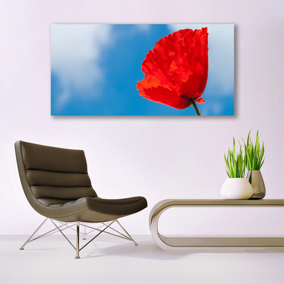 Pintura em vidro Tulipa na Parede