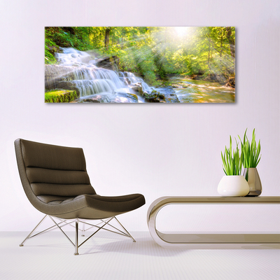 Quadro de vidro Cachoeira Floresta Natureza