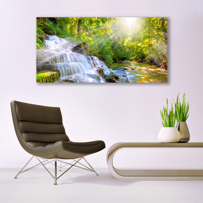 Quadro de vidro Cachoeira Floresta Natureza