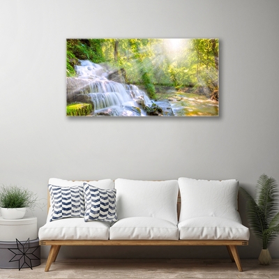 Quadro de vidro Cachoeira Floresta Natureza