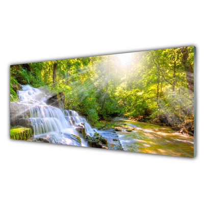 Quadro de vidro Cachoeira Floresta Natureza