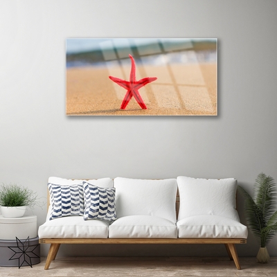 Quadro de vidro Arte de estrela do mar de praia